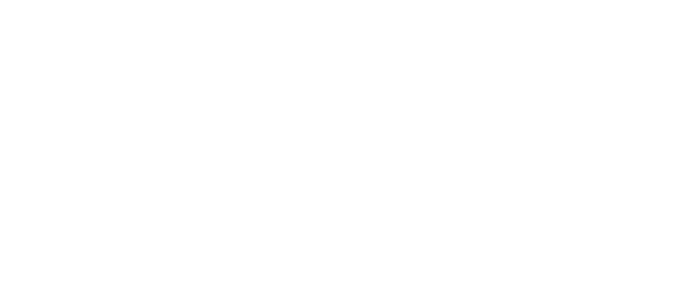 CAQA Cyber Security logo